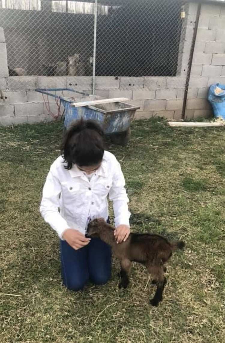 Majda avec les premiers chevreaux, 2018