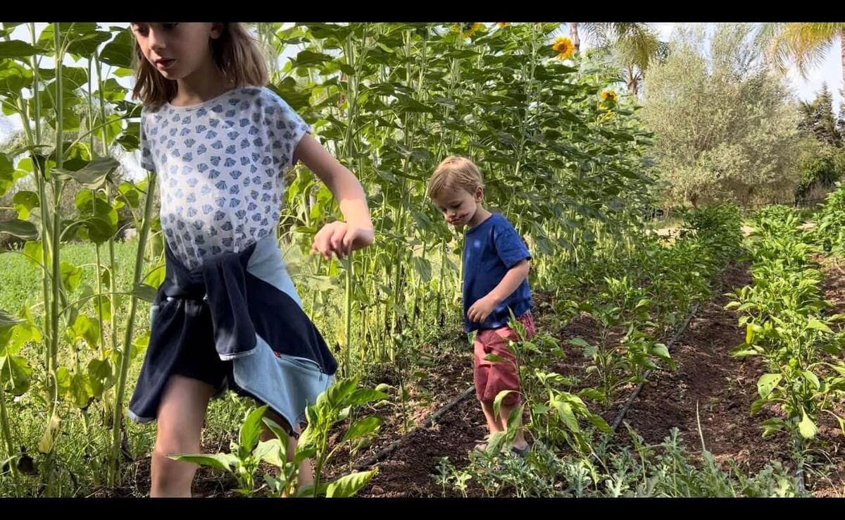 Le Potager Vivant, Touriver Lab